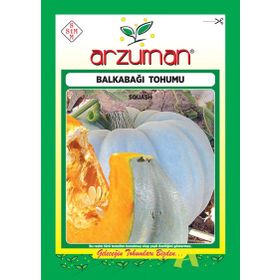 Arzuman Arıcan 97 Balkabağı Tohumu