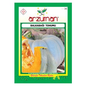 Arzuman Arıcan 97 Balkabağı Tohumu