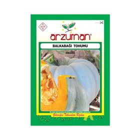 Arzuman Arıcan 97 Balkabağı Tohumu