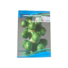 Arzuman Atalık 3x100 gr Brüksel Lahanası Tohumu