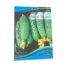 Arzuman Atalık 3x100 gr Kornişon Tohumu