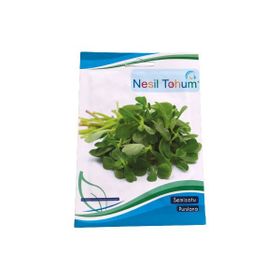 Arzuman Atalık 3x100 gr Semizotu Tohumu