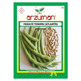 Arzuman Atlantis Fasulye Kırkgünlük 50 gr Tohum