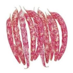 Arzuman Barbunya Sırık 50 gr Tohum