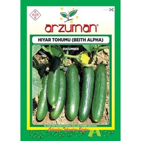 Arzuman Beith Alpha Salatalık Hıyar Tohumu