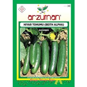 Arzuman Beith Alpha Salatalık Hıyar Tohumu