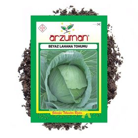 Arzuman Beyaz Lahana 10 gr Tohum