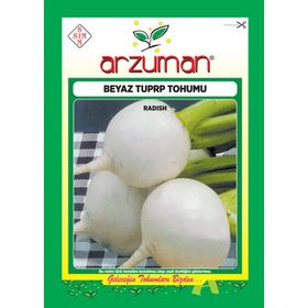 Arzuman Beyaz Turp Tohumu