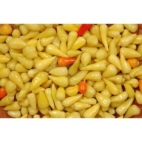 Arzuman Biberiye Biberi 5 gr Tohum