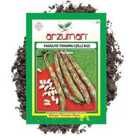Arzuman Börülce Fasulye Tohumu