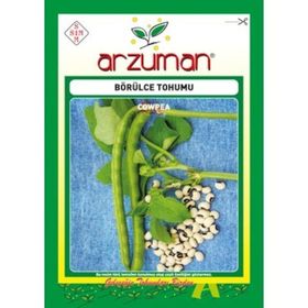 Arzuman Börülce Fasulye Tohumu
