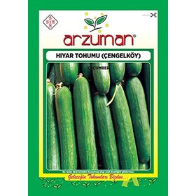 Arzuman Çengelköy 300 Adet Salatalık Tohumu