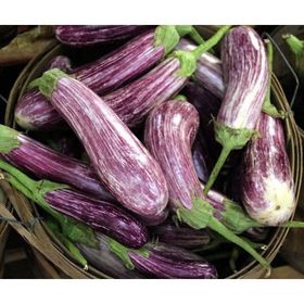 Arzuman Çizgili Alaca Patlıcan 5 gr Tohum