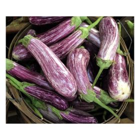 Arzuman Çizgili Alaca Patlıcan 5 gr Tohum