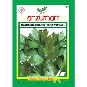 Arzuman D`Giant İtaliana Maydanoz İthal 10 gr Tohum
