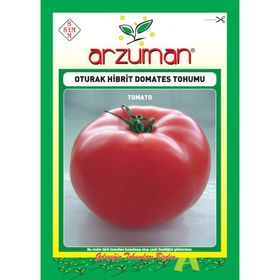 Arzuman F1 Oturak 10 Adet Domates Tohumu
