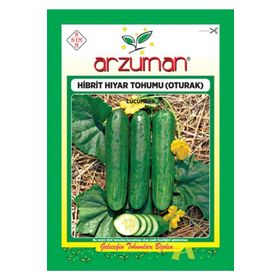 Arzuman F1 Salatalık Oturak Hibrit 100 Adet Hıyar Tohumu