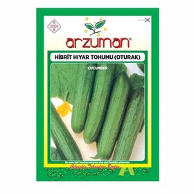 Arzuman F1 Salatalık Oturak Hibrit 100 Adet Hıyar Tohumu