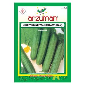 Arzuman F1 Salatalık Oturak Hibrit 100 Adet Hıyar Tohumu