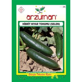 Arzuman F1 Salatalık Selen Hibrit Hıyar Tohumu
