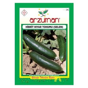 Arzuman F1 Salatalık Selen Hibrit Hıyar Tohumu