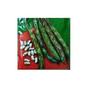 Arzuman Fasulye Çilli Kız 50 gr Tohum