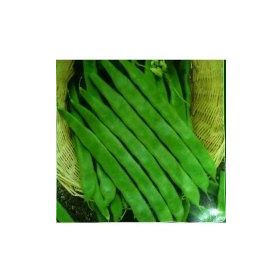 Arzuman Fasulye Geniş Helda 50 gr Tohum