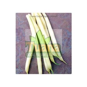 Arzuman Fasulye Sırık 50 gr Tohum
