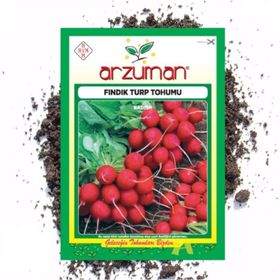 Arzuman Fındık Turp Sebze Tohumu