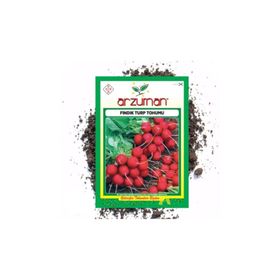 Arzuman Fındık Turp Sebze Tohumu