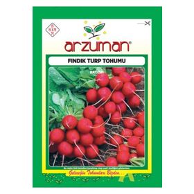 Arzuman Fındık Turp Sebze Tohumu