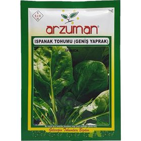 Arzuman Geniş Sırık Fasulye Tohumu