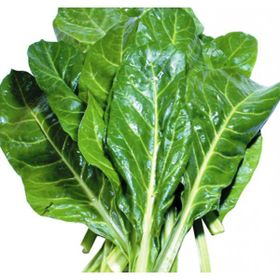 Arzuman Geniş Yaprak Pazı 10 gr Tohum