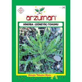Arzuman Güneyik Hindiba Otu Tohumu