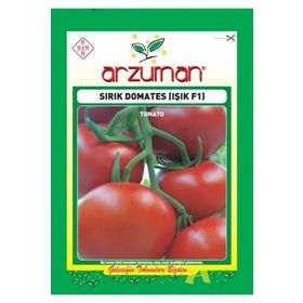 Arzuman Işık Sırık F1 Domates Tohumu