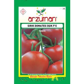 Arzuman Işık Sırık F1 Domates Tohumu