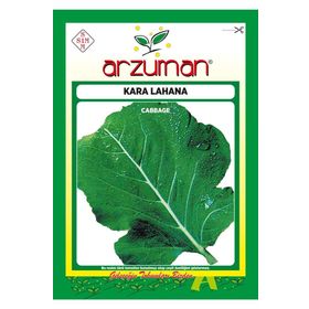 Arzuman Karalahana Tohumu