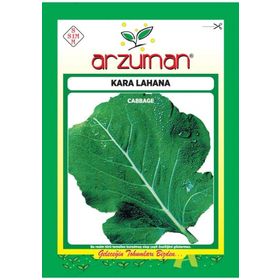Arzuman Karalahana Tohumu