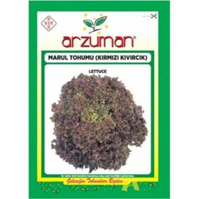 Arzuman Kırmızı Kıvırcık Marul İthal Marul 5 gr Tohum