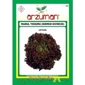 Arzuman Kırmızı Kıvırcık Marul İthal Marul 5 gr Tohum