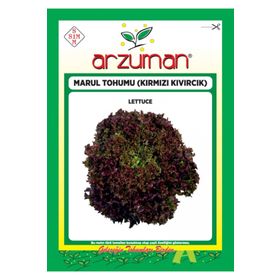 Arzuman Kırmızı Kıvırcık Marul İthal Marul 5 gr Tohum