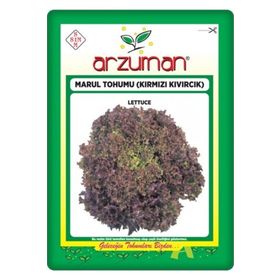 Arzuman Kırmızı Kıvırcık Marul İthal Marul 5 gr Tohum