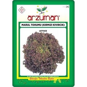 Arzuman Kırmızı Kıvırcık Marul İthal Marul 5 gr Tohum