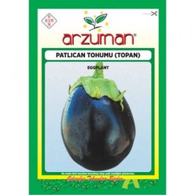 Arzuman Küçük Çiftlik 10 gr Top Patlıcan Tohumu