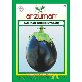 Arzuman Küçük Çiftlik 10 gr Top Patlıcan Tohumu