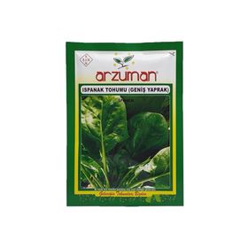 Arzuman Matador Ispanak Geniş Yaprak İthal 10 gr Tohum