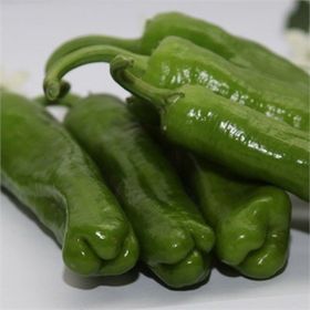 Arzuman Mazamort Üçburun Biber 10 gr Tohum