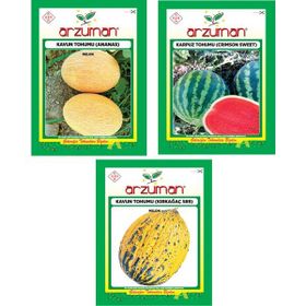 Arzuman Meyve Ananas Kavun Tohumu