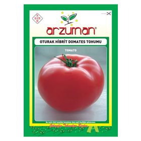 Arzuman Oturak Hibrit Domates Tohumu