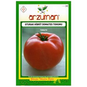 Arzuman Oturak Hibrit Domates Tohumu